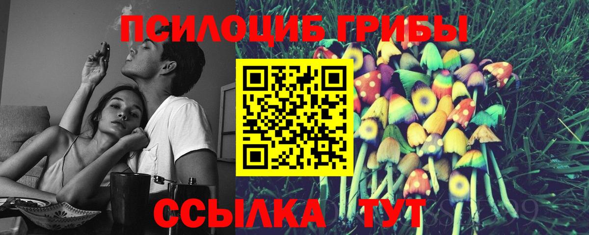 Псилоцибиновые грибы Magic Shrooms Донской