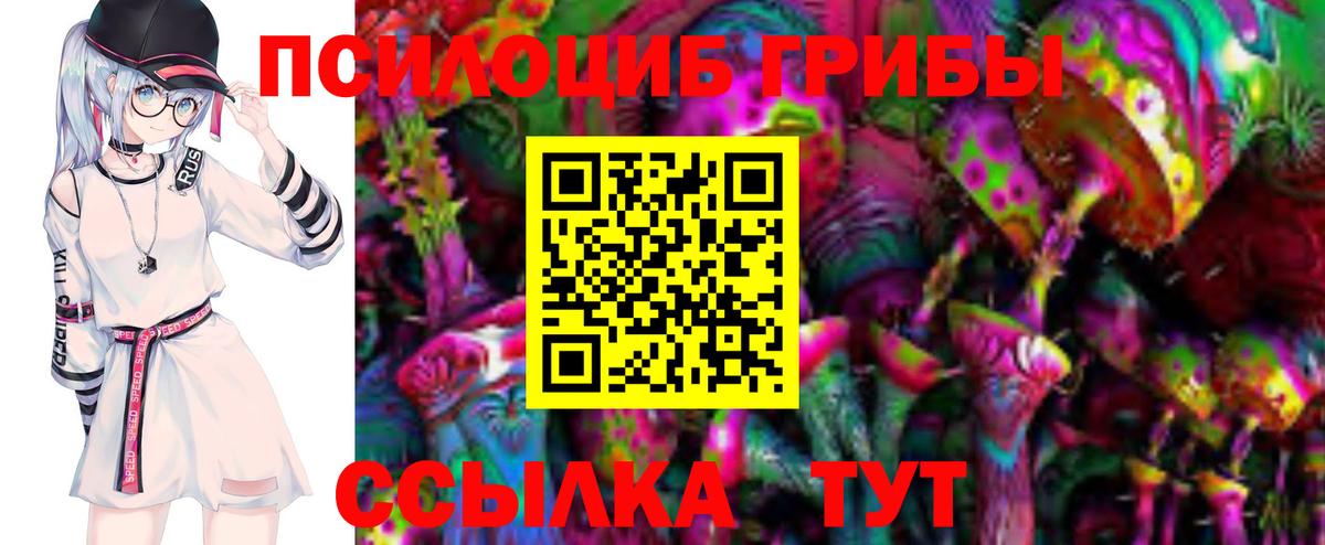Псилоцибиновые грибы Cubensis  Вход с VPN  Донской 
