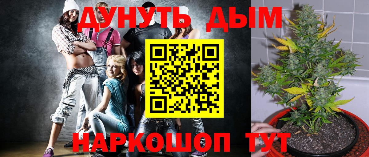 МАРИХУАНА гибрид Донской